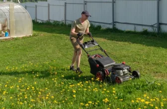 What Are the Most Common Mistakes in Lawn Care?
