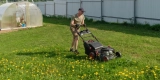 What Are the Most Common Mistakes in Lawn Care?